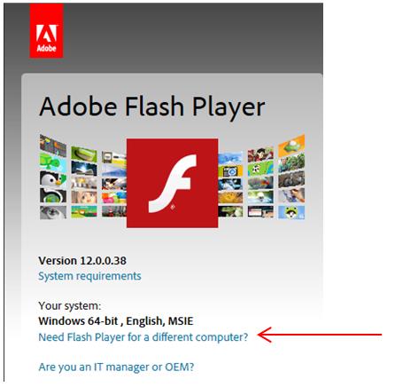 adobe flash player for internet explorer download